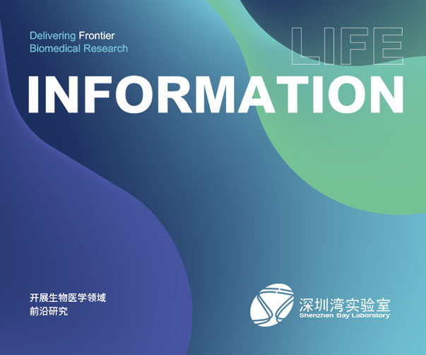 蘇州logo設計公司如何在logo設計中體現蘇州文化？