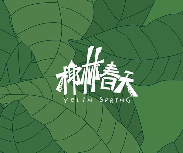 珠海vi設計公司與靚麗日化品牌重塑：精準與創新的視覺傳達